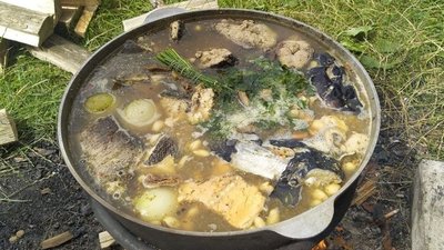 На Житомирщині влаштували "Eco fish picnic" – діти та дорослі прибирали узбережжя водосховища На Житомирщині влаштували "Eco fish picnic" – діти та дорослі прибирали узбережжя водосховища
