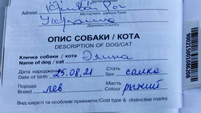 "Утримують у неналежних умовах". Левеня з Кривого Рогу, яке живе у приватній власності, втрачає зір "Утримують у неналежних умовах". Левеня з Кривого Рогу, яке живе у приватній власності, втрачає зір