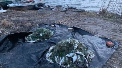 На Херсонщині браконьєри нанесли збитків майже на 55 тисяч гривень