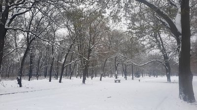 Невеликий сніг та ожеледиця. Погода у Кіровоградській області на вихідні