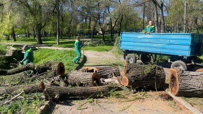 Ліквідація наслідків після негоди в Одесі 26 квітня 2026 року