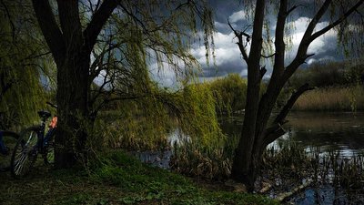 похмура погода, озерна балка кропивницький