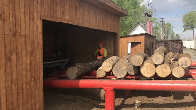 "Краще забезпечуватись дровами зараз": у лісгоспах Полтавщини заготовляють дрова "Краще забезпечуватись дровами зараз": у лісгоспах Полтавщини заготовляють дрова