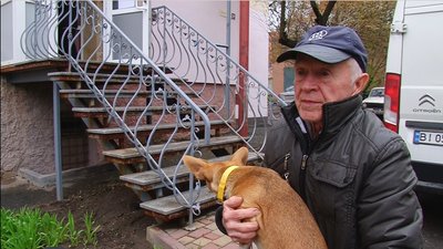 У Полтаві за тиждень безкоштовно стерилізували 70 безпритульних тварин У Полтаві за тиждень безкоштовно стерилізували 70 безпритульних тварин