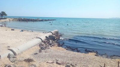 Чорне море, Крижанівка, забруднення, екологія