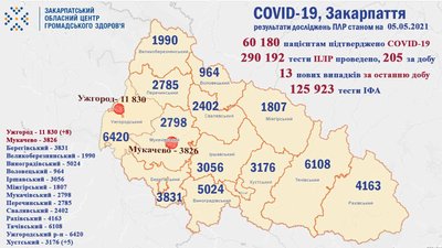 На Закарпатті за добу зафіксували 13 нових випадків COVID-19, одужали 235 людей На Закарпатті за добу зафіксували 13 нових випадків COVID-19, одужали 235 людей