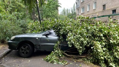 У Миколаєві через зливу та буревій попадали дерева