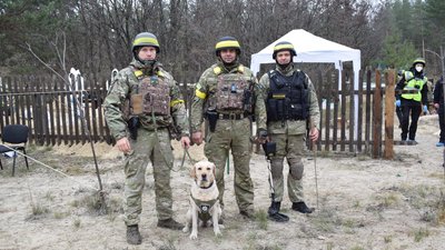 Як службові собаки допомагають розміновувати Донецьку область Як службові собаки допомагають розміновувати Донецьку область