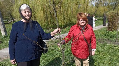 посадити дерево посадити дерево