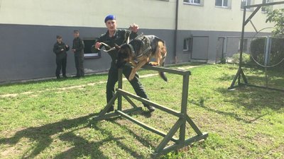 Нацгвардієць з Луцька розповів, як разом із псом готувалися до параду на День Незалежності Нацгвардієць з Луцька розповів, як разом із псом готувалися до параду на День Незалежності