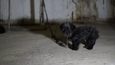 Народила під час війни: у Харкові жінка з сином понад сім місяців живе в бомбосховищі Народила під час війни: у Харкові жінка з сином понад сім місяців живе в бомбосховищі