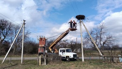 На Волині облаштовують лелечі гнізда на електроопорах