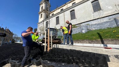 У Львові на вулиці Степана Бандери висадять 89 дерев У Львові на вулиці Степана Бандери висадять 89 дерев