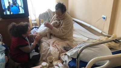 У хоспісі на Донеччені зьявились цуценята, для "ємоційної" допомоги хворим