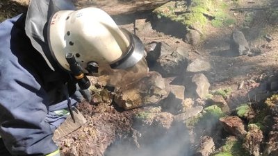 На 30% менше, ніж минулоріч. На Франківщині зменшилася кількість пожеж в екосистемах На 30% менше, ніж минулоріч. На Франківщині зменшилася кількість пожеж в екосистемах