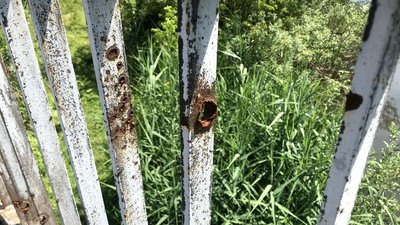 Чотири підірвані мости – у Народицькій громаді вирішують, як відбудовувати зруйновані переправи