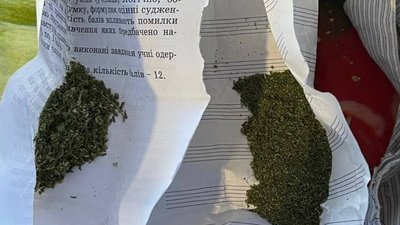 канабіс канабіс
