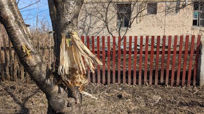 "Повилітали шибки": мешканці Ворожби розповіли про удари армії РФ "Повилітали шибки": мешканці Ворожби розповіли про удари армії РФ