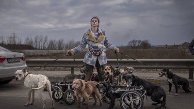 Анастасія Тиха
