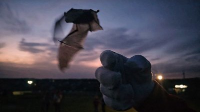 Збиті дрони та ракета, помер поранений під час атаки РФ на Кам`янське. Головні новини Дніпра та області 30 березня Збиті дрони та ракета, помер поранений під час атаки РФ на Кам`янське. Головні новини Дніпра та області 30 березня