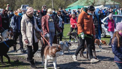 У Кропивницькому проходить всеукраїнська виставка собак У Кропивницькому проходить всеукраїнська виставка собак