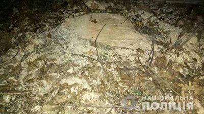 На Черкащині поліцейські припинили незаконну вирубку деревини На Черкащині поліцейські припинили незаконну вирубку деревини