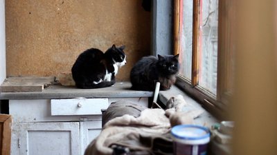 "Вижити" картинам допомогло диво" – художник про власні роботи в Охтирському музеї "Вижити" картинам допомогло диво" – художник про власні роботи в Охтирському музеї