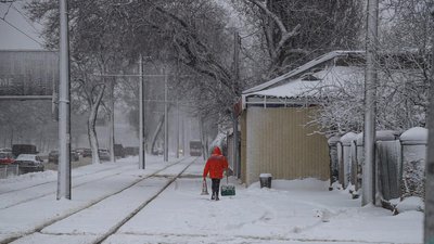 Застряглі автівки, обірвані проводи та повалені дерева: які наслідки негоди на Одещині