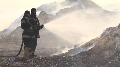 На території підприємства у Житомирі горіли залишки деревини На території підприємства у Житомирі горіли залишки деревини