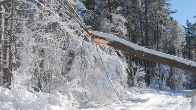 Наслідки негоди: на Чернігівщині без електрики залишилися 34 населені пункти