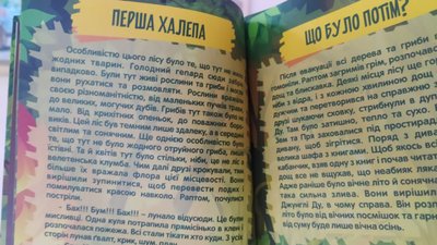 "Коли пишу, уявляю себе головним героєм". Про що пише книжки дев'ятирічний сумчанин "Коли пишу, уявляю себе головним героєм". Про що пише книжки дев'ятирічний сумчанин