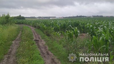 У Рівному в полі розкопали тіло чоловіка. Поліція розслідує вбивство У Рівному в полі розкопали тіло чоловіка. Поліція розслідує вбивство