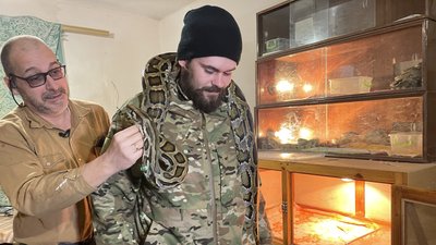 Пітона під час звільнення Куп'янська з російського танку врятували військові: історія порятунку Пітона під час звільнення Куп'янська з російського танку врятували військові: історія порятунку