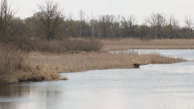 На Черкащині протестували проти забудови пляжу На Черкащині протестували проти забудови пляжу