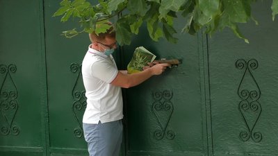 У Миколаєві відбувся рейд із виявлення амброзії У Миколаєві відбувся рейд із виявлення амброзії