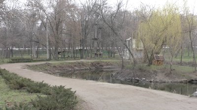 У Запоріжжі відбудуться позапланові перевірки зон відпочинку У Запоріжжі відбудуться позапланові перевірки зон відпочинку