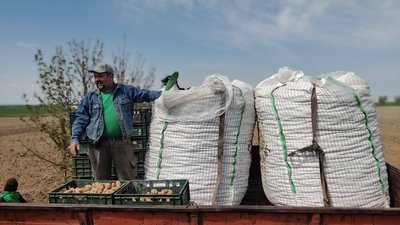 Волинські аграрії садять картоплю, яку отримали від волонтерів із Франції