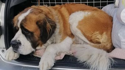 "Я розумів, що виїжджати з Херсона буде небезпечно, але ж не так довго і складно”: історія херсонця "Я розумів, що виїжджати з Херсона буде небезпечно, але ж не так довго і складно”: історія херсонця