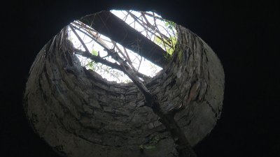 Три тижні собака прожив у ямі на околиці Сум Три тижні собака прожив у ямі на околиці Сум