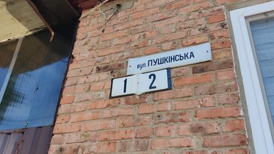 На чию честь варто перейменувати вулицю Пушкінську у Житомирі: думки експертів