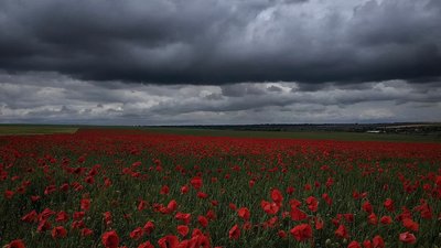 Херсонські студенти взяли участь у фотомарафоні, присвяченому рідному місту