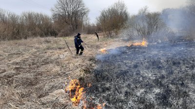 Випалювання трави та очерету: на Полтавщині горіли 25 гектарів сухої рослинності