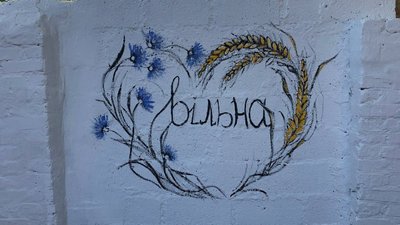 "Стіни, що говорять про Україну". У Бобринці на будинках малюють патріотичні малюнки "Стіни, що говорять про Україну". У Бобринці на будинках малюють патріотичні малюнки