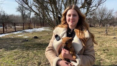 "Вся школа їх рятувала": у ліцеї на Волині діти шукають дім для 10 цуценят