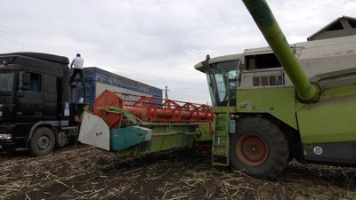 Збір озимого ріпаку на Вінниччині Збір озимого ріпаку на Вінниччині
