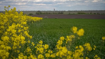 “Викопали російські снаряди – посіяли соняшник”: як українські фермери попри війну тримають економічний фронт “Викопали російські снаряди – посіяли соняшник”: як українські фермери попри війну тримають економічний фронт