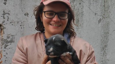 Аби собаки не гинули від серцевого нападу, давали їм заспокійливе. Волонтери вивезли з Бахмута з-під обстрілів 145 собак Аби собаки не гинули від серцевого нападу, давали їм заспокійливе. Волонтери вивезли з Бахмута з-під обстрілів 145 собак