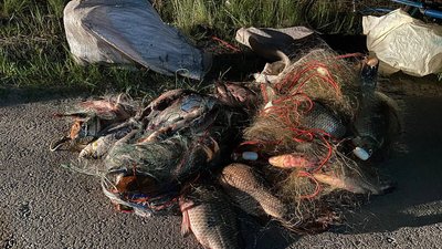 На Черкащині чоловік незаконно наловив риби на понад 100 тисяч гривень
