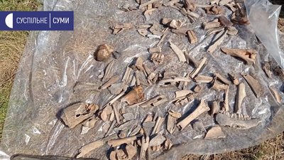 На Сумщині продовжують археологічні розкопки Ширяївського городища: що знайшли На Сумщині продовжують археологічні розкопки Ширяївського городища: що знайшли
