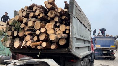 Допомога від держави. На Миколаївщині до села Шевченкове вчергове привезли дрова
